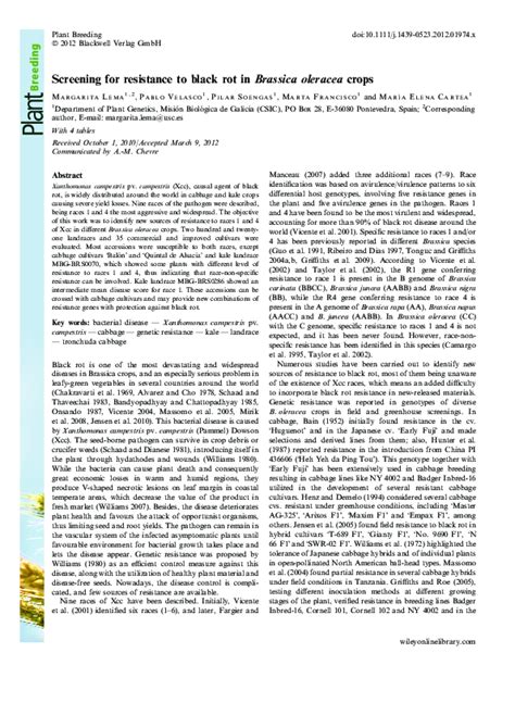 Pdf Screening For Resistance To Black Rot In Brassica Oleracea Crops