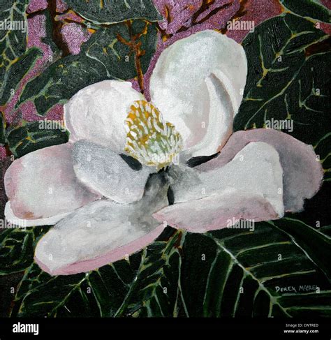 magnolia flower acrylic painting Stock Photo - Alamy