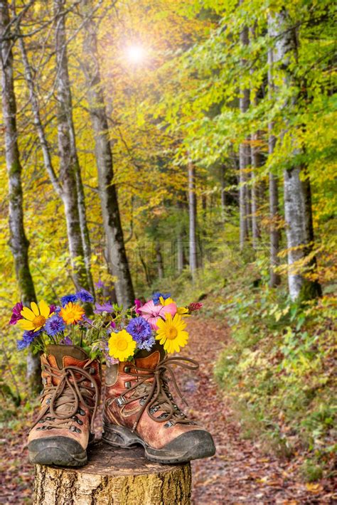 Wanderschuhe mit Blumen in schöner bayerischer Landschaft Stock image