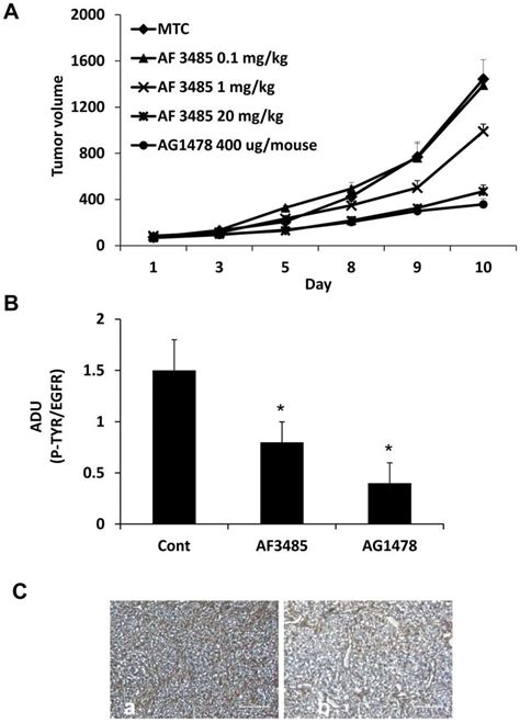 The Mpges Inhibitor Af Reduces A Tumor Growth In Xenograft