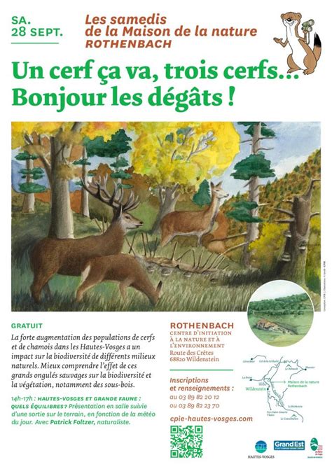 Un Cerf A Va Trois Cerfs Bonjour Les D G Ts Sam Sept