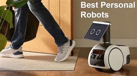 5 Best Personal Robots You Can Buy In 2023