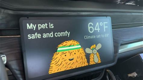 Rivian Pet Comfort Mode Real World Review Youtube