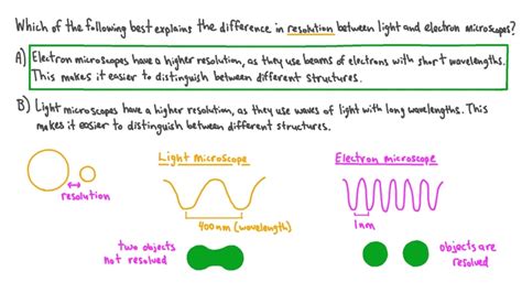 What is the Resolution of a Brightfield Microscope? - A Guide to ...