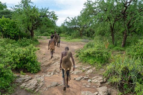 430点を超えるハッザ族のストックフォト、写真、そしてロイヤリティフリーの画像 Istock