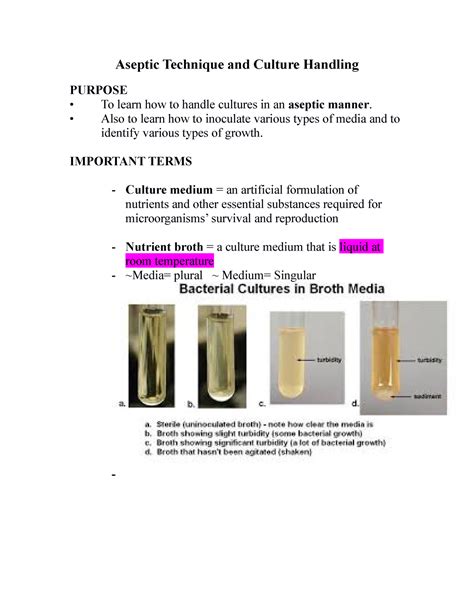 Aseptic Technique And Culture Handling Aseptic Technique And Culture