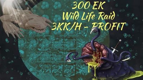 Tibia 2021 EK 300 Oramond Wild Life Raid KNIGHT SOLO 3KK H With