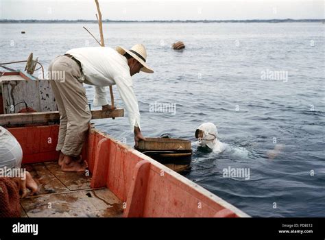 Japanese pearl farming hi-res stock photography and images - Alamy