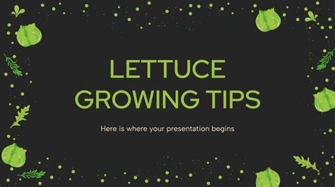 Lettuce Growing Tips Presentation