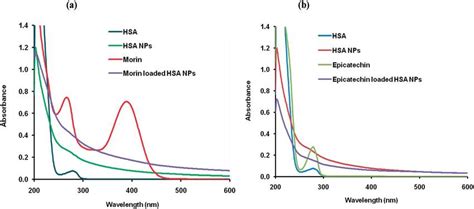 Uv Vis Absorption Spectra Of A Hsa Hsa Nps Morin And Morin Loaded Download Scientific