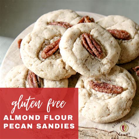 Almond Flour Pecan Sandies Guidry Organic Farms