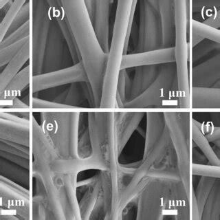 Sem Micrographs Of The Prepared Pristine Bioactive Glass A Particles