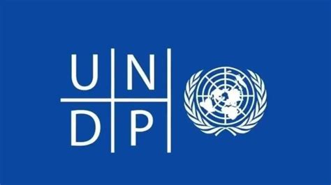 2024 United Nations Undp Internship [apply Now] Myschoolgist