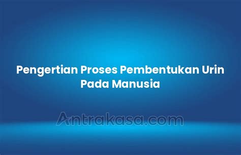 Pengertian Proses Pembentukan Urin Pada Manusia