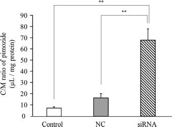 P GlycoproteinMediated Pharmacokinetic Interactions Increase Pimozide