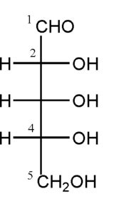 Ribose - CreationWiki, the encyclopedia of creation science