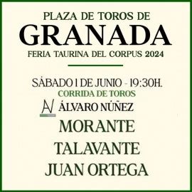 Granada Bullfight Tickets Bullring Of Granada Fair Corpus Of Granada