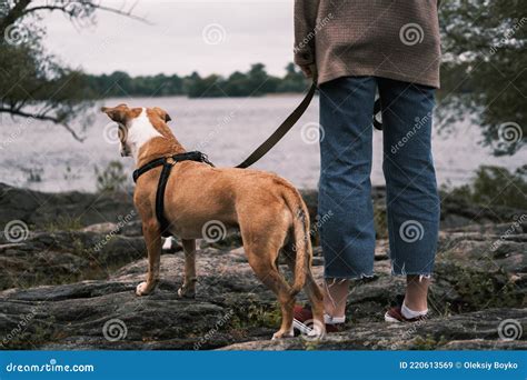 Mujer Y Su Perro Se Paran Uno Al Lado Del Otro En Las Rocas Junto Al