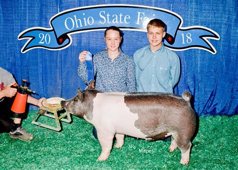 CLASS WINNER - 2018 Ohio State Fair Jr Show - Genetic Edge