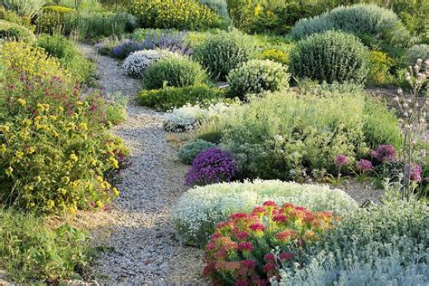 Planting Design For Dry Gardens Dry Garden Plants Plant Design