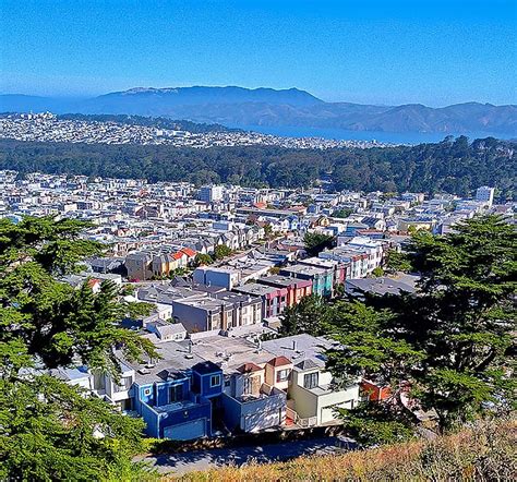 nature    san francisco grandview park