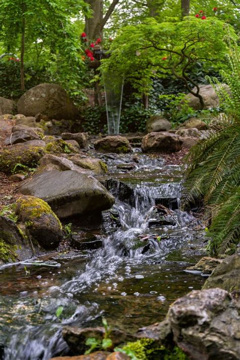 Tranquil Water Feature in a Lush Beautiful Green Woodland Garden with Dense Foliage and ...