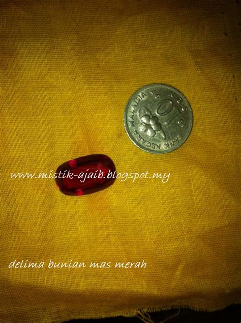 Mistik Ajaib Blogspot Rare Delima Bunian Mas Merah Untuk