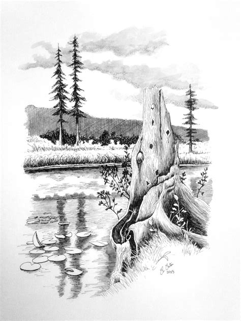 Ink landscape drawing by Ned-The-Hat on DeviantArt