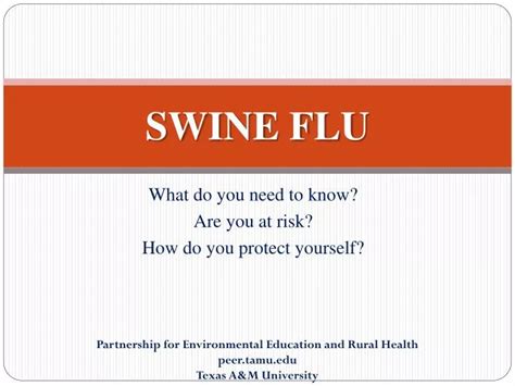 Ppt Swine Flu Powerpoint Presentation Free Download Id3854091