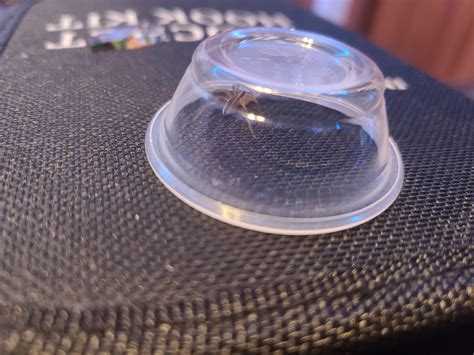 Please help me identify this spider? Could it be hazardous? : r/spiders