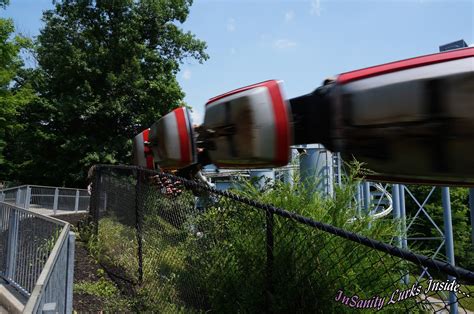 Insanity Lurks Inside The Bat Flies Again At Kings Island