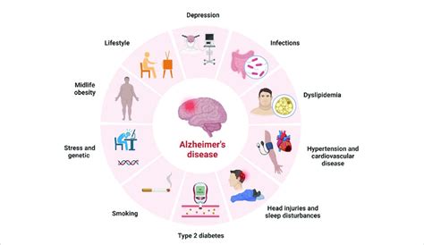 Risk Factors Of Alzheimers Disease Download Scientific Diagram