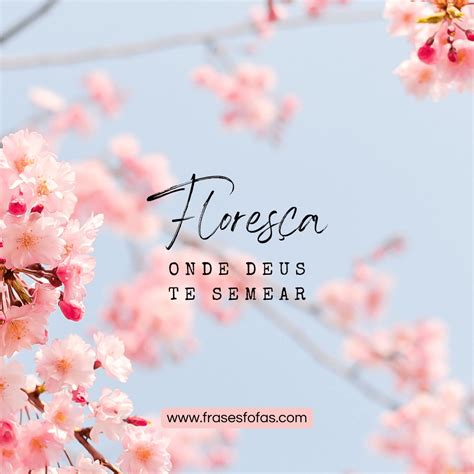 Frases De Primavera Frases Sobre Primavera