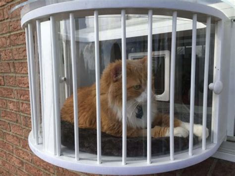 The Cat Solarium Conservatory Package For The Cat That Has To Have It All Cat Solarium The