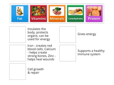 8.Nutrients & their function - Match up