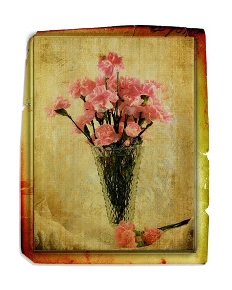 Vintage Carnations In Vase Stock Image Image Of Flowers 11081665