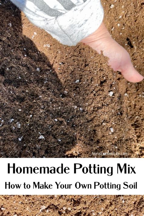 Homemade Potting Mix How To Make Your Own Potting Soil