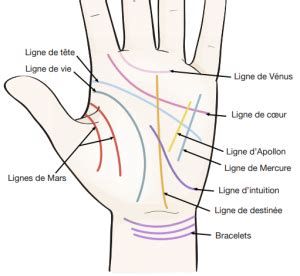 Chiromancie Voici Comment Lire Sa Ligne De Vie