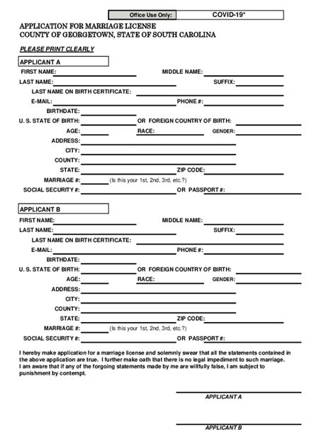 Fillable Online Georgetown County Sc Marriage Certificate Application