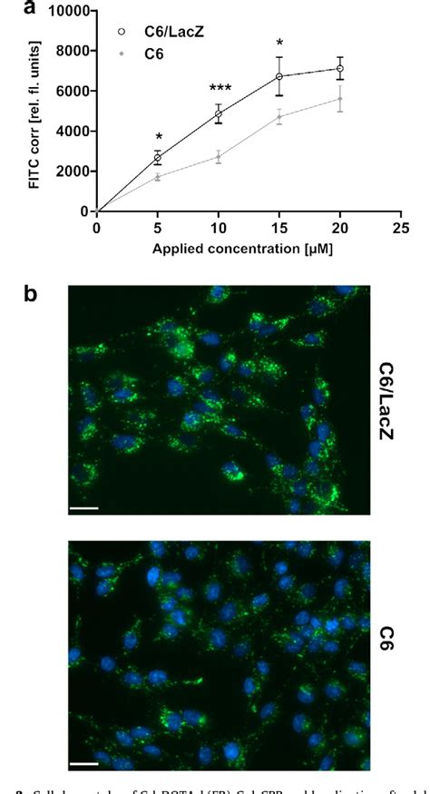 Figure From Synthesis And Characterization Of A Cell Permeable