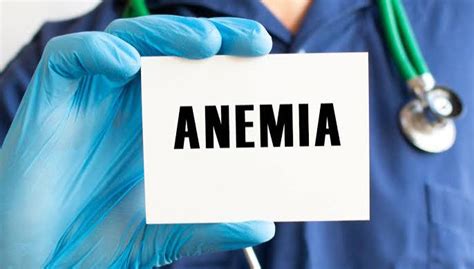 Alimentos Con Hierro Para Combatir La Anemia Consejos De Nutrici N