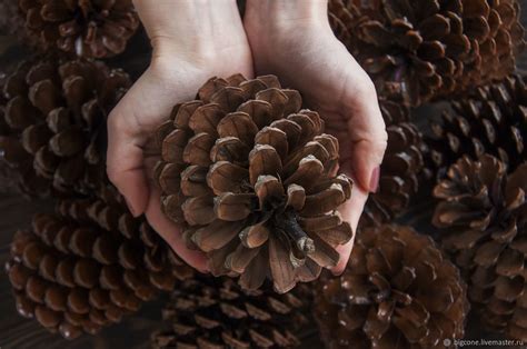 Поделки из больших шишек - фото и картинки: 67 штук