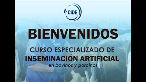 CURSO DE INSEMINACION ARTIFICIAL DIA 1 YouTube