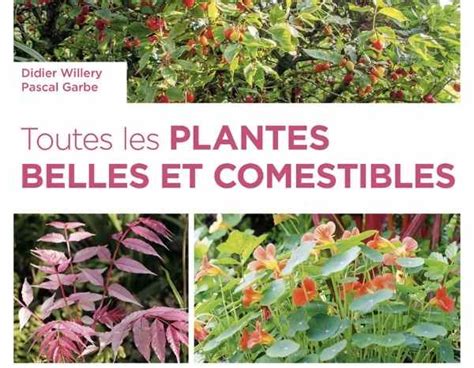 Fleurs Comestibles D Couvrir Et Cultiver Au Jardin