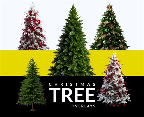 9 Christmas Tree PNG Overlays Gogivo