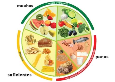 Plato Del Buen Comer Explicacion Net Nbkomputer