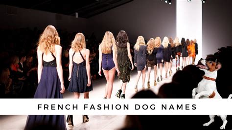 350 French Dog Names {and their meanings!}