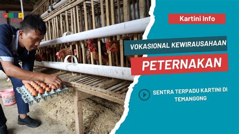 VOKASIONAL PETERNAKAN SENTRA TERPADU KARTINI DI TEMANGGUNG YouTube