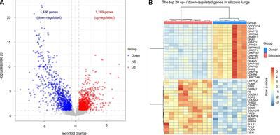 Frontiers Comparative Transcriptome Analyses Reveal A Transcriptional