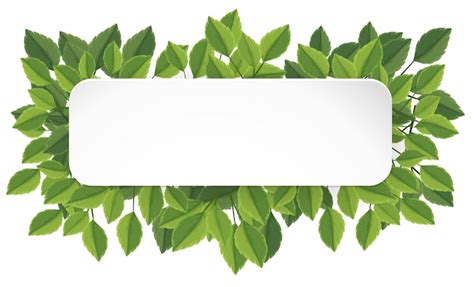 Premium Vector | A green leaf banner